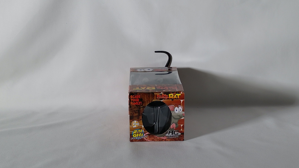 Ferngesteuerte Ratte