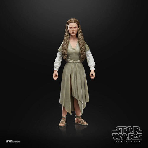 Hasbro Star Wars Black Series Prinzessin Leia (Ewok Village, Rückkehr der Jedi-Ritter, 15 cm) Neu OVP