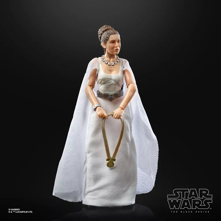 Hasbro Star Wars Black Series – Prinzessin Leia Organa (Yavin 4, 15 cm)